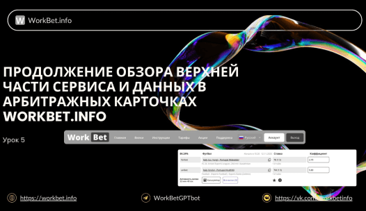 Продолжение обзора верхней части сервиса и данных в арбитражных карточках обложка 1